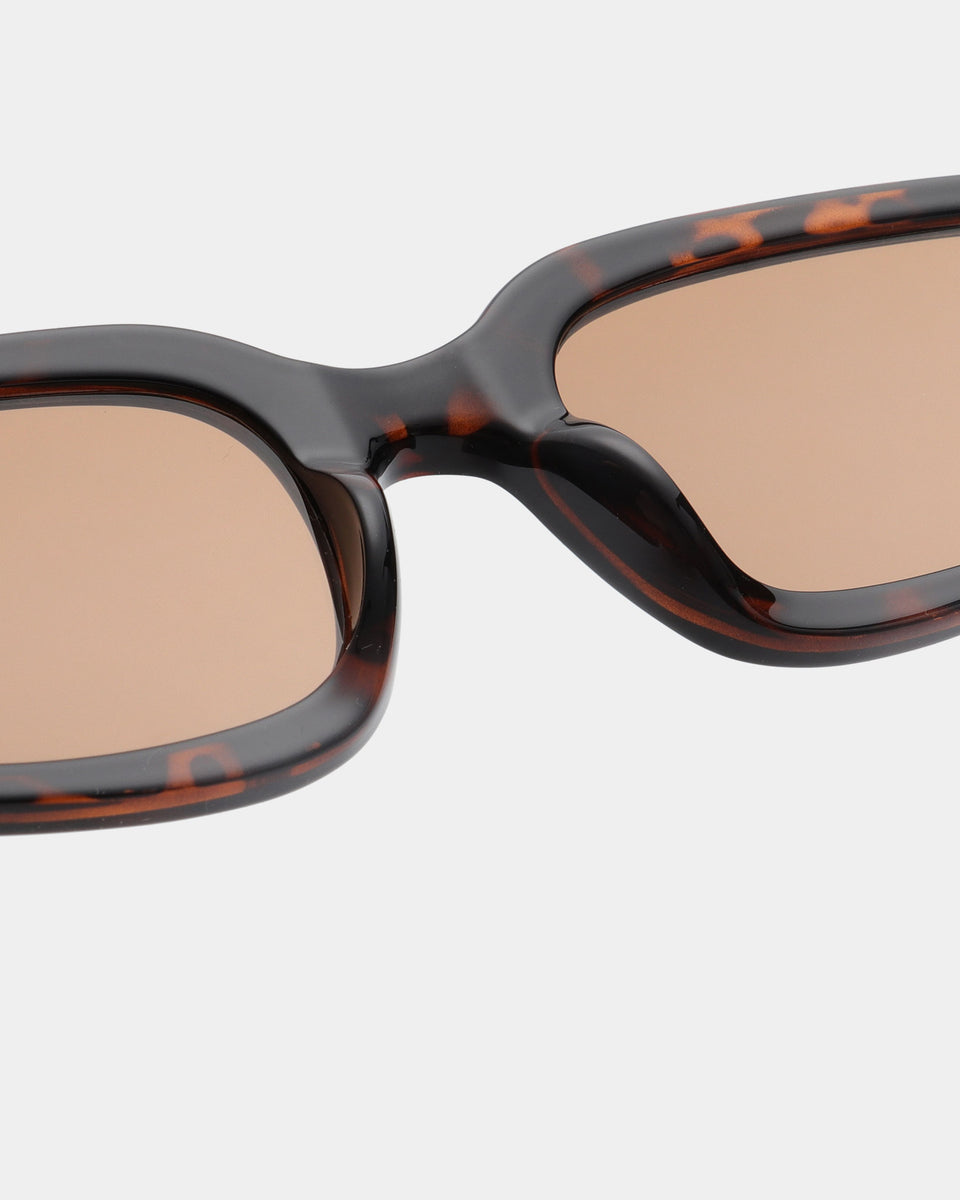 Alex Demi Tortoise