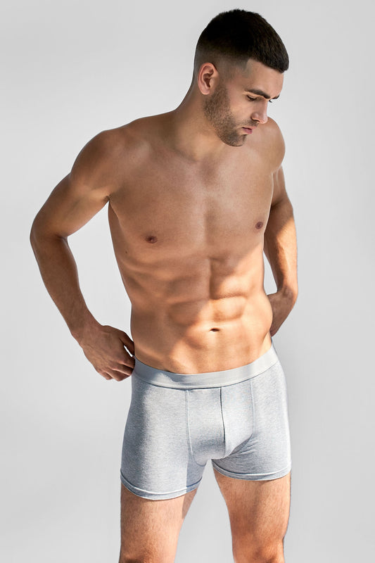 kalsonger boxer 3 pack bread&boxer brief boxer grey grå
